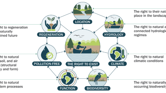 MAPN Webinar: Rights of Nature and Wetlands: Transforming the People-Nature Relationship