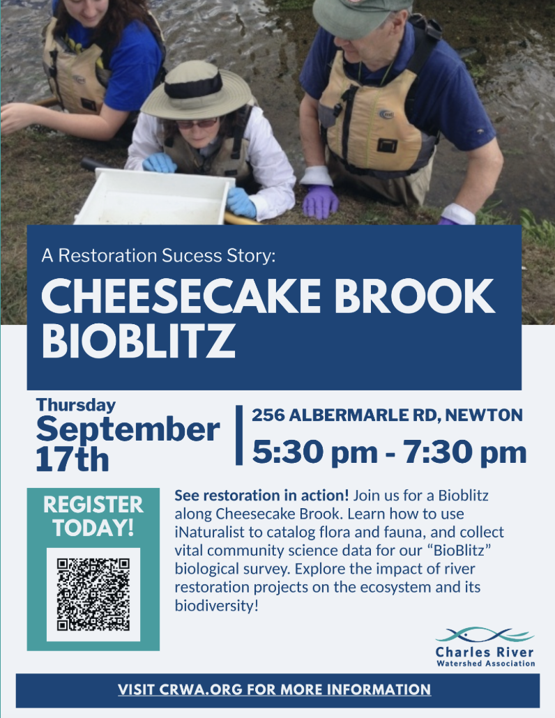 Charles River Watershed Association: A Restoration Success Story: Cheesecake Brook BioBlitz