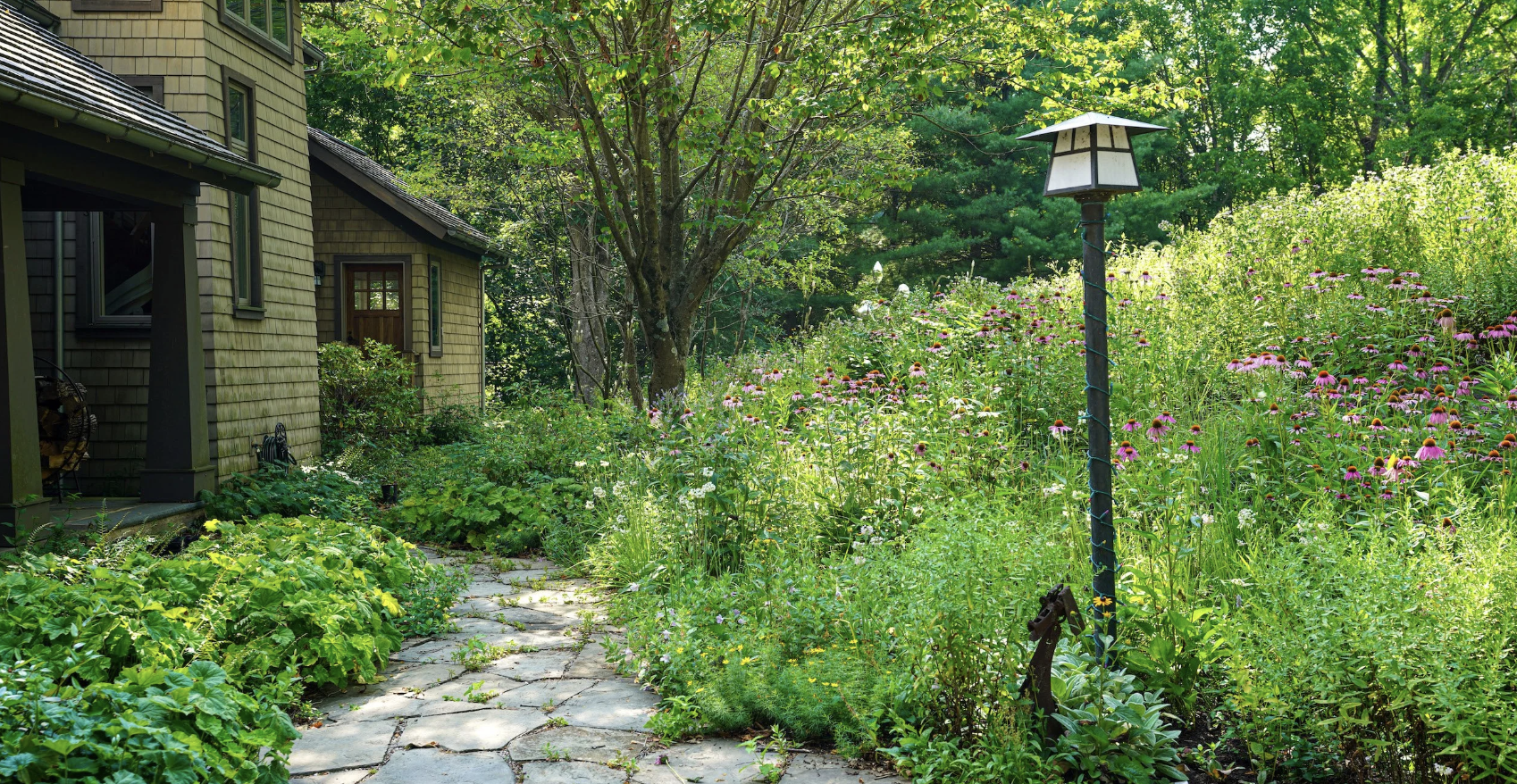 New Directions in the American Landscape Webinar: At Home With Nature:  Beauty, Ecology, and Experience