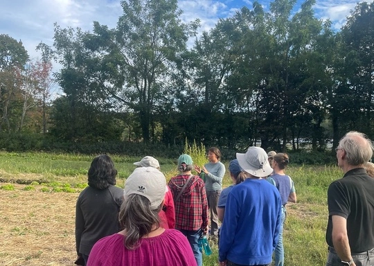Senior Wellness Walk: Creating and Connecting on the Farm