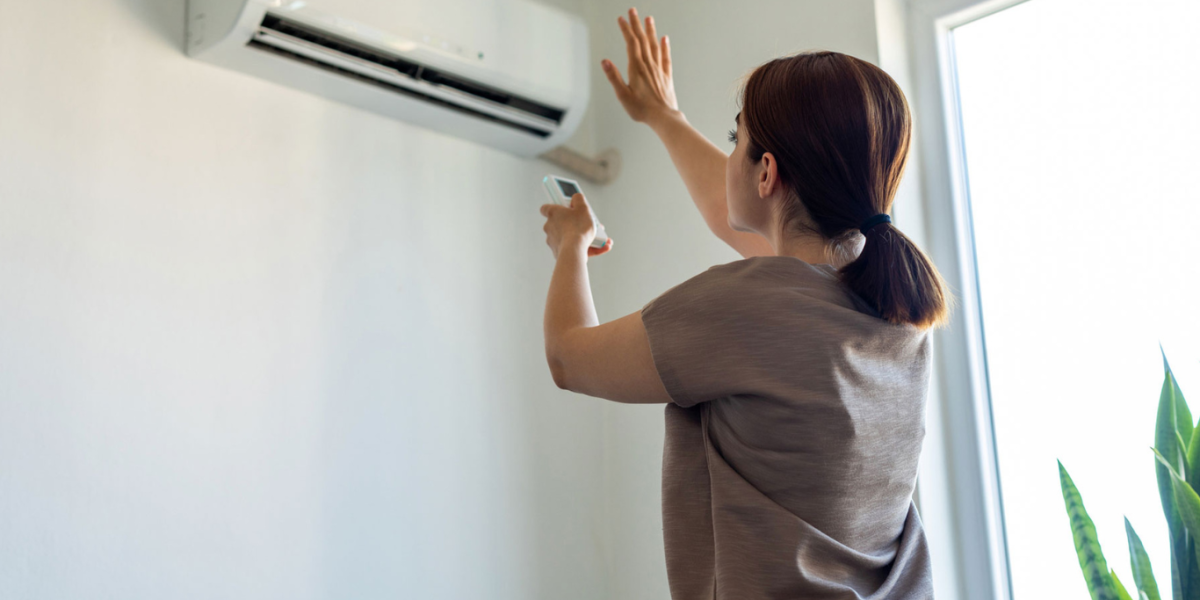 Clean Energy Consumers Alliance Webinar: Heat Pumps & Time-Varying Rates