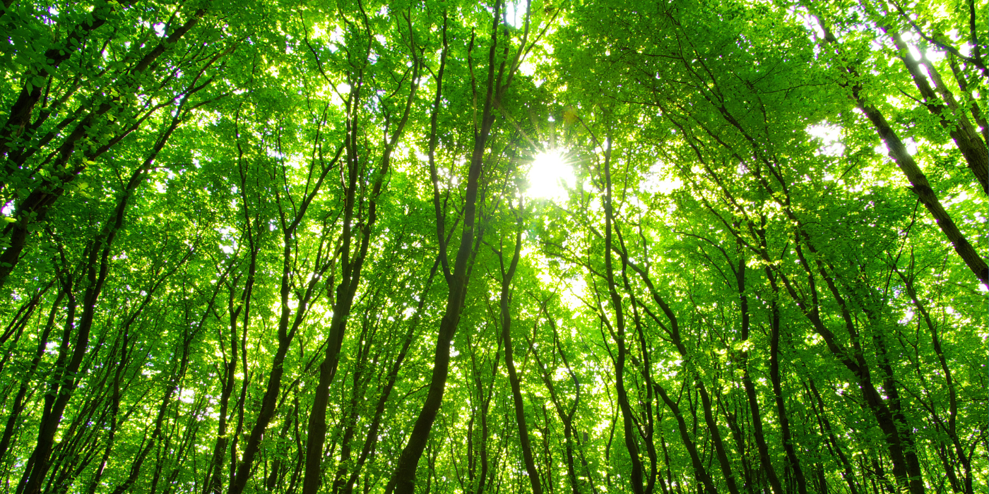 Mothers Out Front: Learn About Ballot Question #6: Establishment of a Nature for All Fund