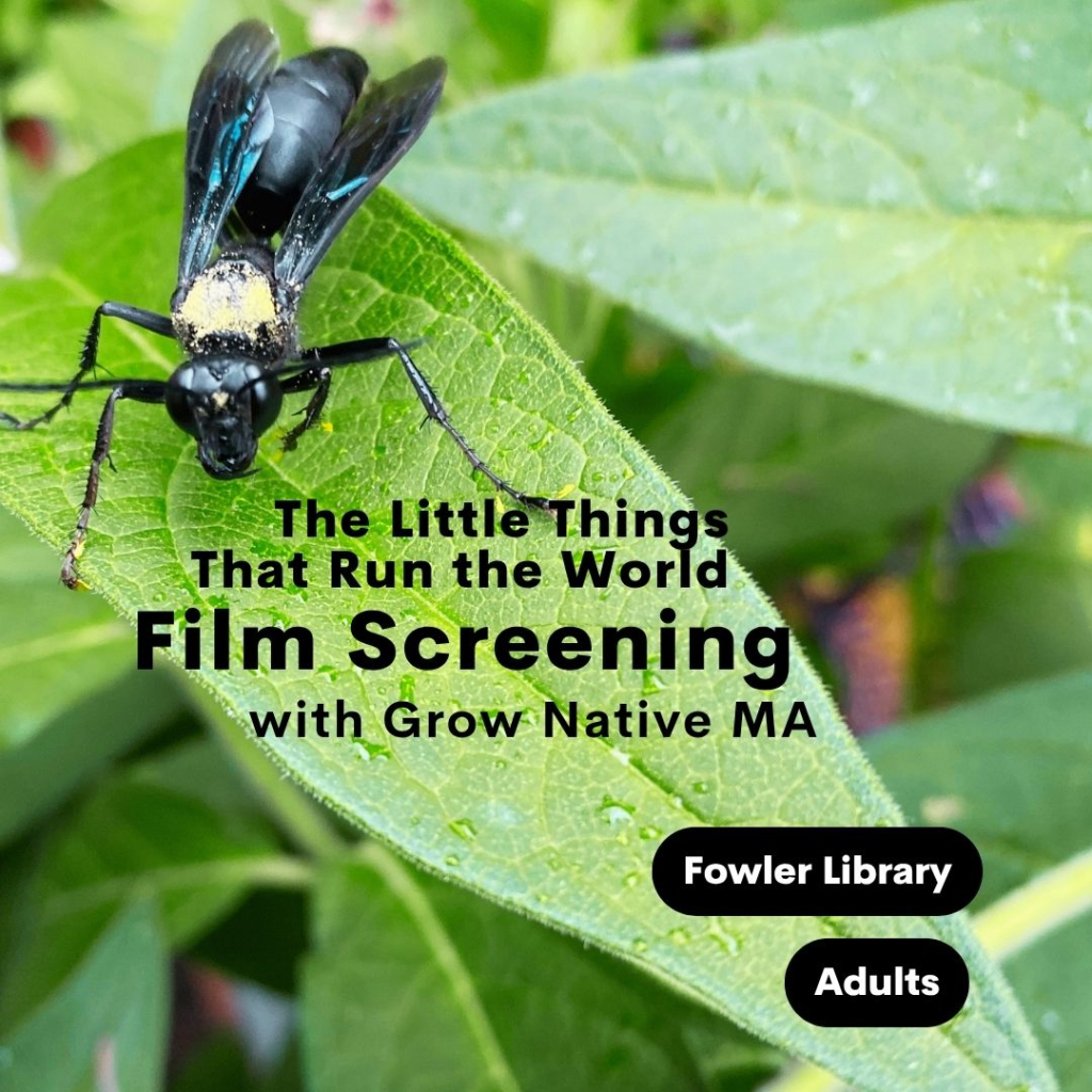 Concord Library Film Screening: The Little Things That Run the World