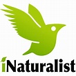 iNaturalist Observation Walk