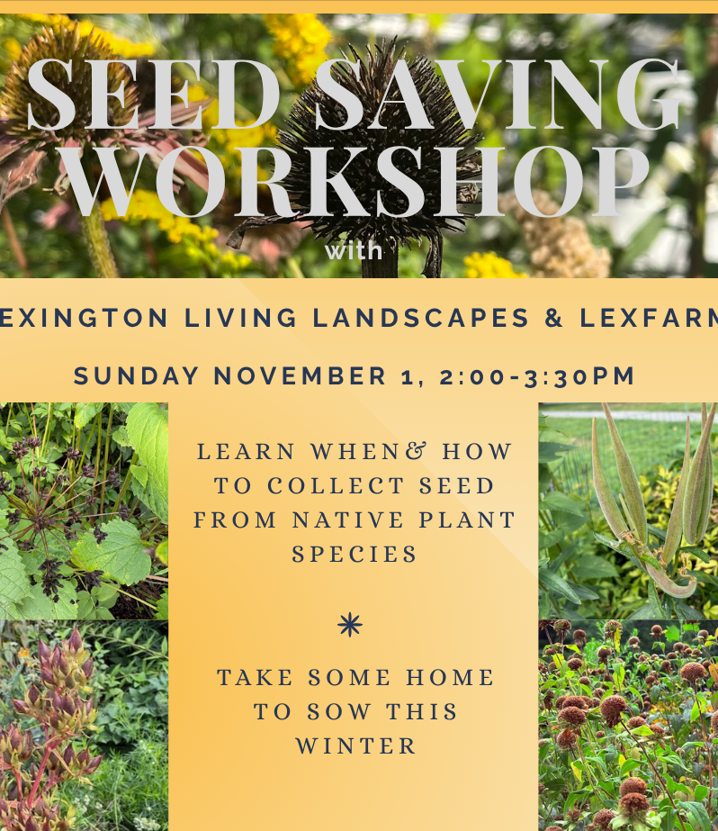 Seed Saving with LexFarm and Lexington Living Landscapes