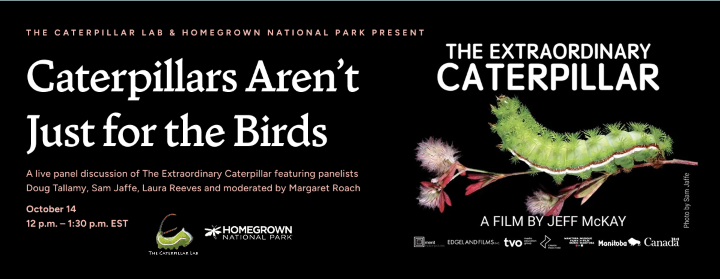The Caterpillar Lab Webinar: Caterpillars Aren’t Just for the Birds