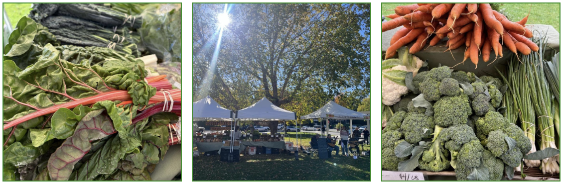 Last Summer's Farmer's Market of the Year